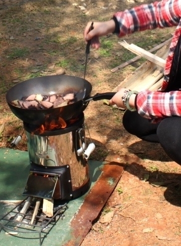 Image Survivor Stir Fry