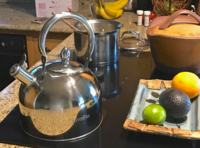 UtiliTea Electric Tea Kettle – The Dragon's Treasure